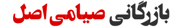 بازرگانی صیامی اصل